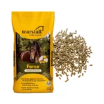 Marstall Force - slika 3