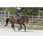 Western sedlo Westride Aurora - slika 3