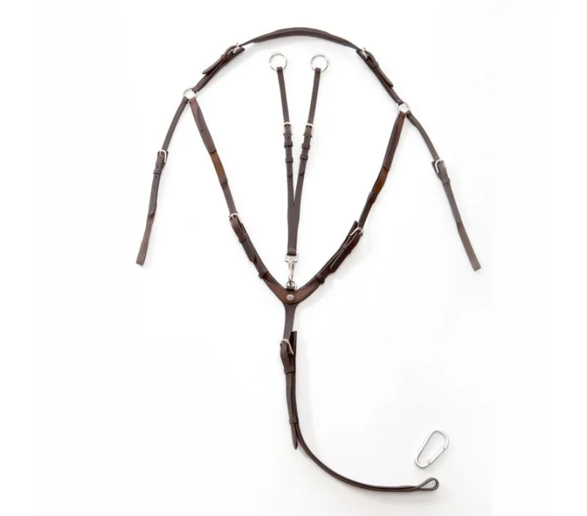 16846_04-martingal-predprsnica-kavalkade-everyday Oprsnica in martingal Kavalkade everyday.