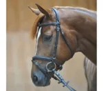 Uzda Kavalkade Quentin - slika 2