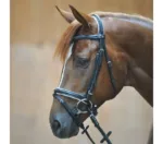 Uzda Kavalkade Quentin - slika 6