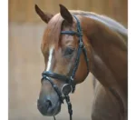 Uzda za konja Kavalkade quentin.