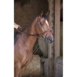 Pomožne vajeti NORTON PRO Rope - slika 2