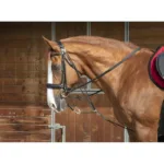 Gog Norton Pro Balance.