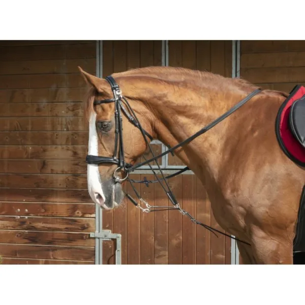 Gog Norton Pro Balance.