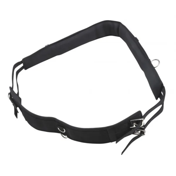 Norton lonžirni pas.