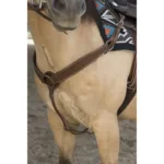 Western oprsnica Billy