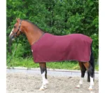 Kavalkade pregrinjalo za znoj Ecoline.