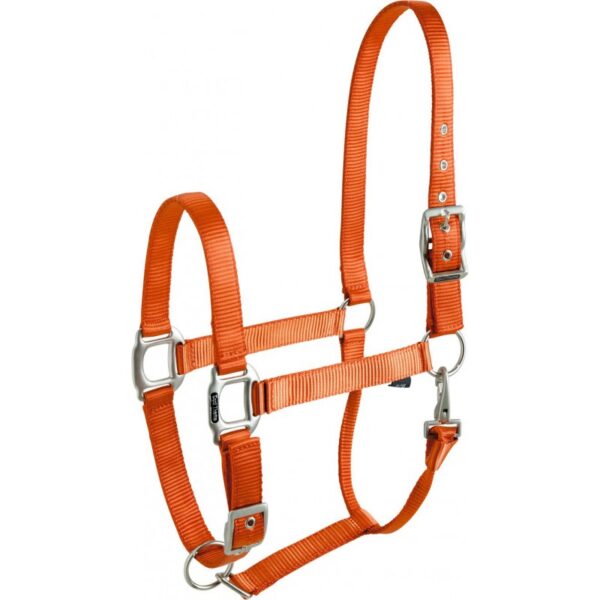 Oglavka EquiTheme Eclat oranžna
