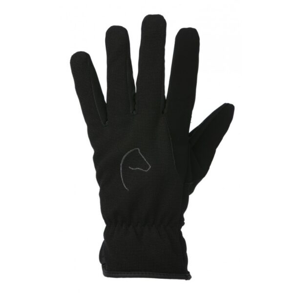 Zimske jahalne rokavice Flocon.