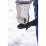 Zimske jahalne rokavice EquiTheme Hiver