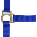 Oglavka za žrebe s povodcem Norton - slika 4