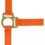 Oglavka za žrebe s povodcem Norton - slika 5