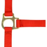 Oglavka za žrebe s povodcem Norton - slika 6