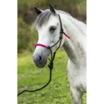 Vrvična oglavka s povodcem EquiTheme Fun - slika 2