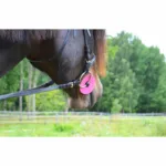 Gumijasti obročki za brzdo Norton - slika 2