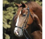 Uzda Kavalkade Fiala