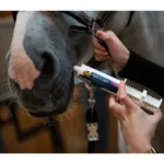 Cavalor pasta Take It Easy - slika 2