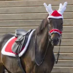 Božični naušniki E-T Reindeer - slika 3