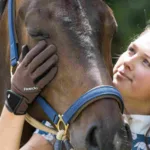 milano winter roeckl jahalne zimske rokavice 2