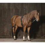 Pripomoček za trening in lonžiranje konja Norton Pulley