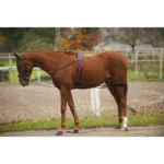 Pomoć za trening Norton Pulley - Slika 2