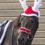 Božični naušniki E-T Reindeer - slika 4