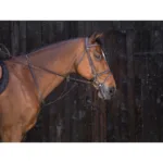 Klasičen martingal RW