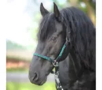 Oglavka Kavalkade Tessa. Usnje in vrvica.