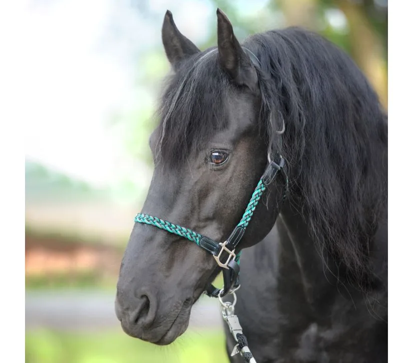 29022_08 kavalkade oglavka Tessa turkizna Oglavka Kavalkade Tessa. Usnje in vrvica.