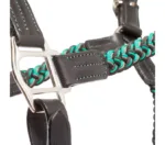 Oglavka Kavalkade Tessa - slika 3