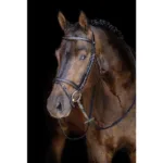 Jahaća uzda HKM Economic