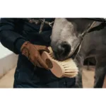 Krtača za konja Borstiq Infinity Cactus 3