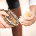 Klin za kopita Borstiq Hoof Pick Ball - slika 3