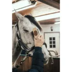 Krtača za konjevo glavo Borstiq Farm - slika 2