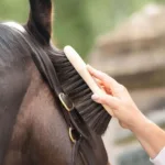 Krtača Borstiq Shaped Finishing - slika 4