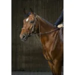 Šambon Eric Thomas Pro