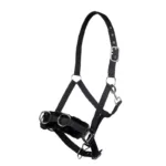 Ular za lonžiranje HKM Teddy