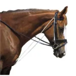 Chambon Noron Club - slika 2