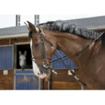 Gog Riding World - slika 2