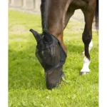 Maschera per insetti E-T Fine