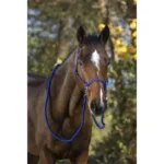 Užadna oglavina + vodilice Norton Ethological