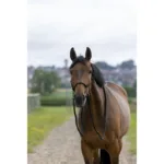 Vrvična oglavka + vajeti Norton Ethological - slika 4