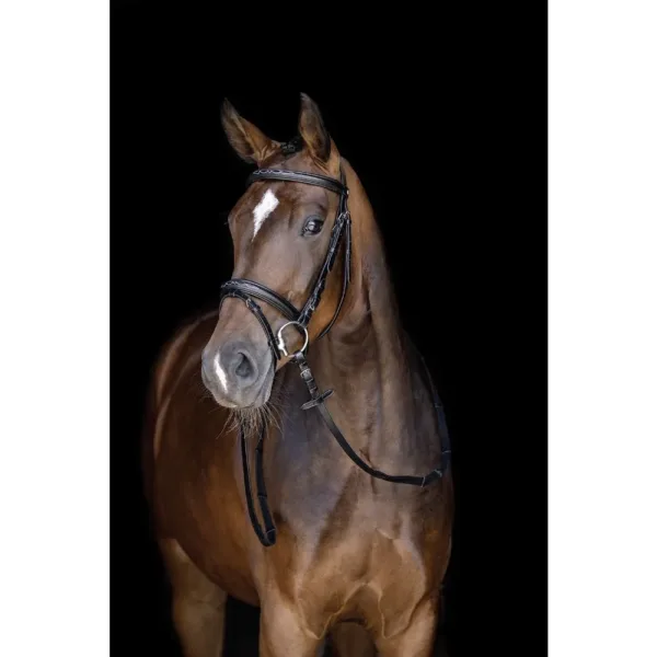 Jahalna uzda HKM Jana