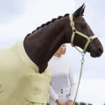 Pregrinjalo ESKADRON Softshell Air Platinum Pure S/S 23 1