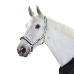 Ular Eskadron Pin Buckle Basic