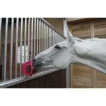 Držalo za lizalni kamen Bizzy Horse Bizzy Ball - slika 4