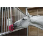 Kamen za lizanje Bizzy Horse Bizzy Lick - Slika 5