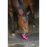 Kamen za lizanje Bizzy Horse Bizzy Lick - Slika 14