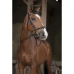 Dizgini Norton PRO Supergrip